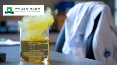 Chemistry and Technology for Sustainability