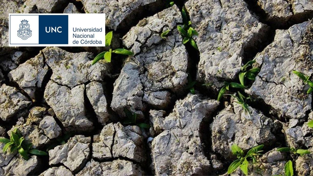 Agricultura de bajo impacto ambiental
