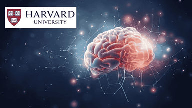 The Brain: Understanding Human Neural Systems
