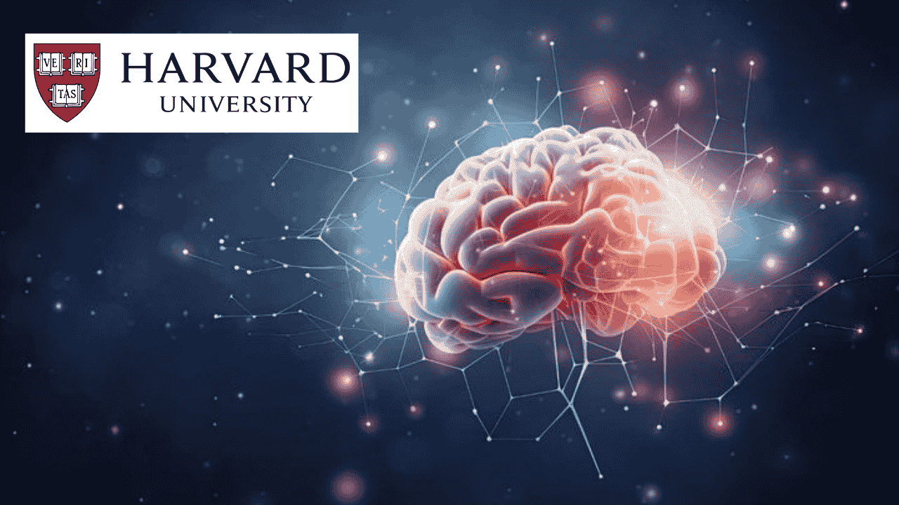 The Brain: Understanding Human Neural Systems