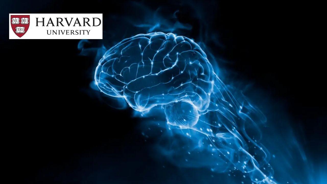 Introduction to Thermodynamics: Entropy and Equilibria