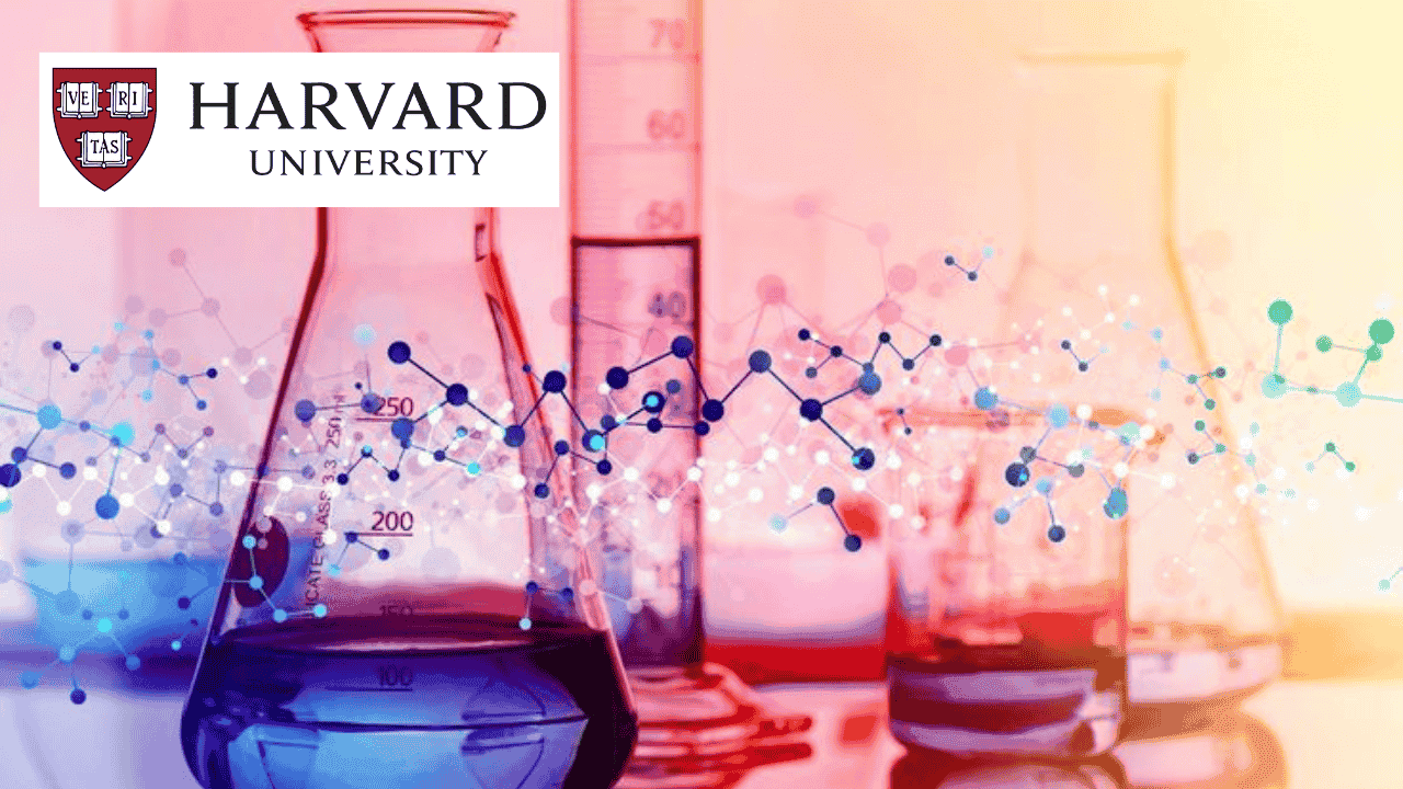 Science and Cooking: From Chemistry to Haute Cuisine