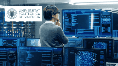 IT Fundamentals for Business Professionals