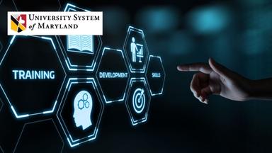 Citizen Developer Training: Design and Delivery