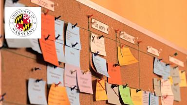 Agile Project Management Professional Certificate