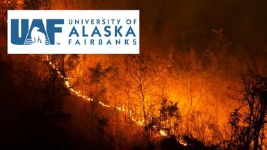 Remote Sensing for Wildfire Management