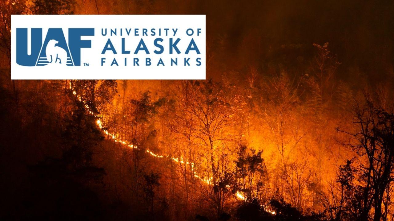 Remote Sensing for Wildfire Management