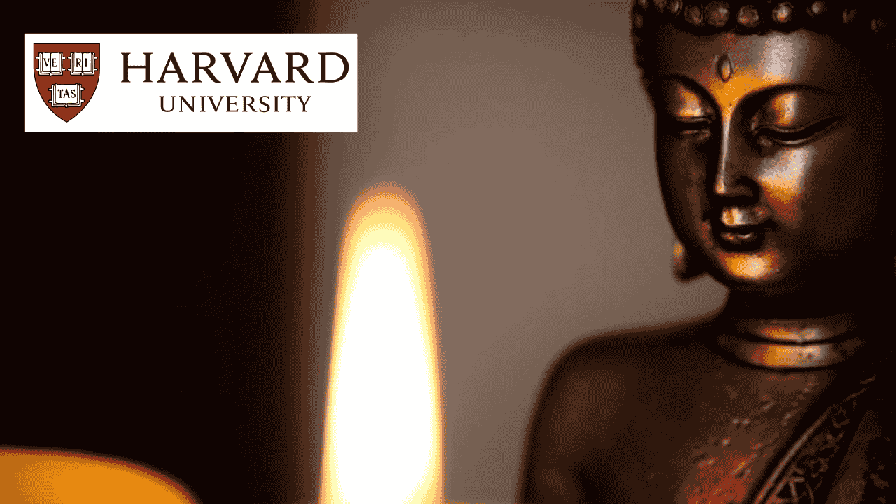 Buddhism Through Its Scriptures
