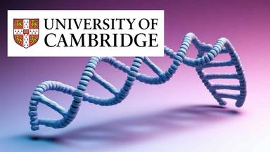 Forensic Science: DNA Analysis and Crime Investigation