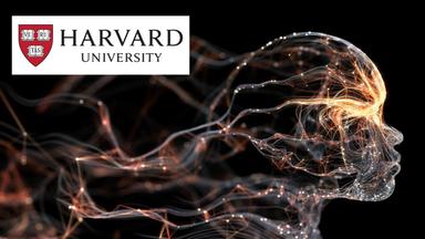 Introduction to Neuroscience