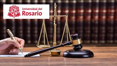 Legal Research in Professional Practice