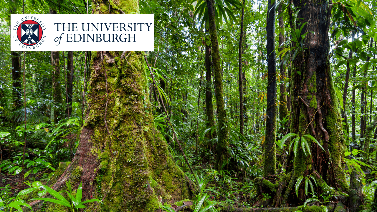 Degree Course Image