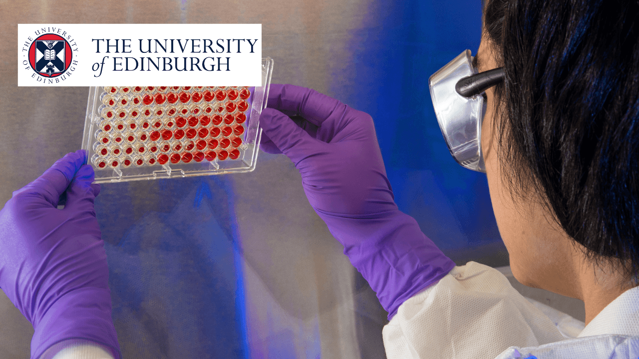 Degree Course Image