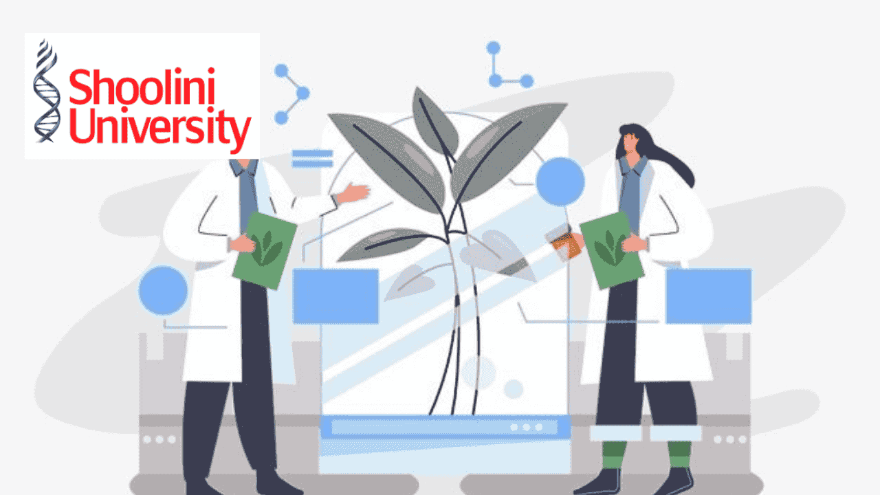 Degree Course Image