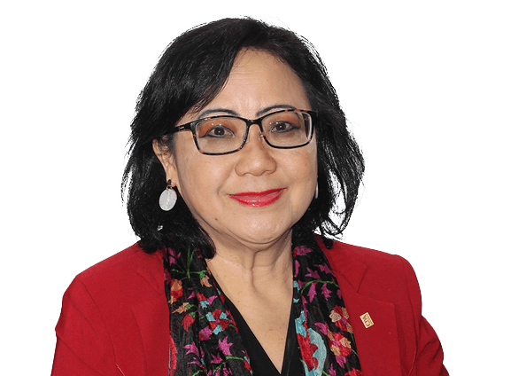 Prof. Nava Subramaniam