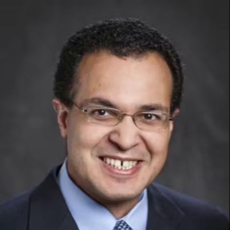 Mostafa A. Elseifi