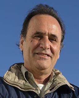 Augusto Damineli Neto