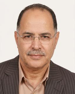 Ayman Shokry