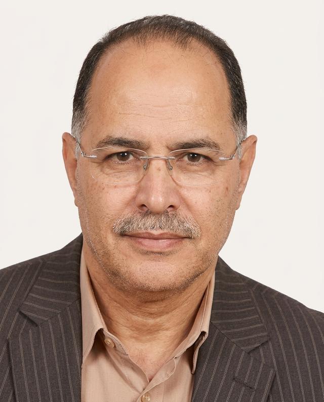 Ayman Shokry