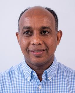 Binyam Afewerk Demena