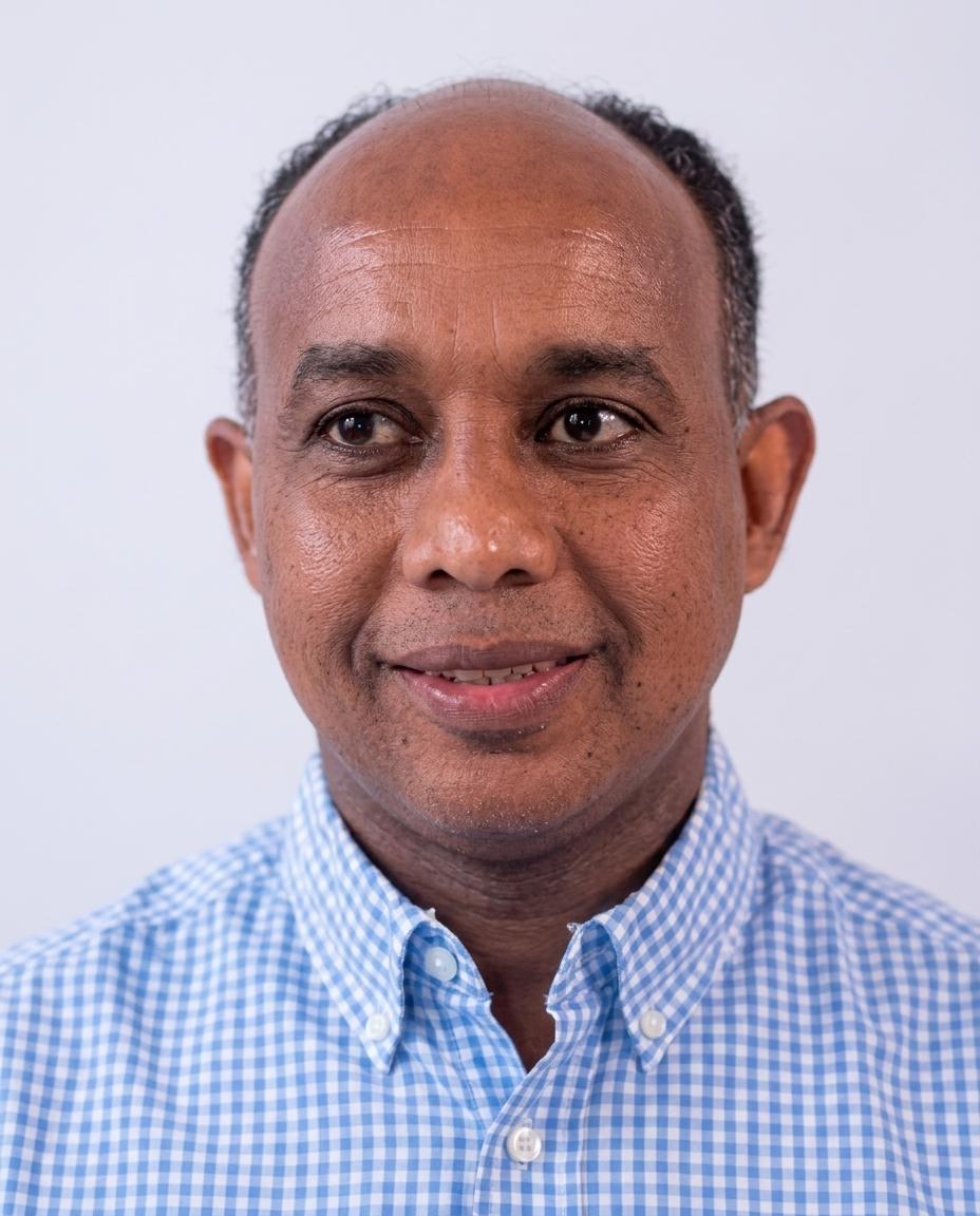 Binyam Afewerk Demena