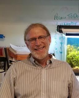 David Randle, Ph.D.