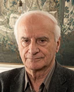 Domenico Parisi