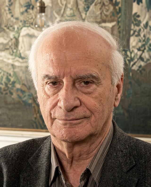 Domenico Parisi