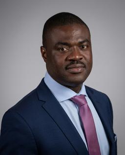 Dr. Damilola S. Olawuyi