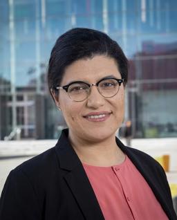 Dr Mehrdokht Pournader
