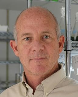 Dr. Stephen Mayfield