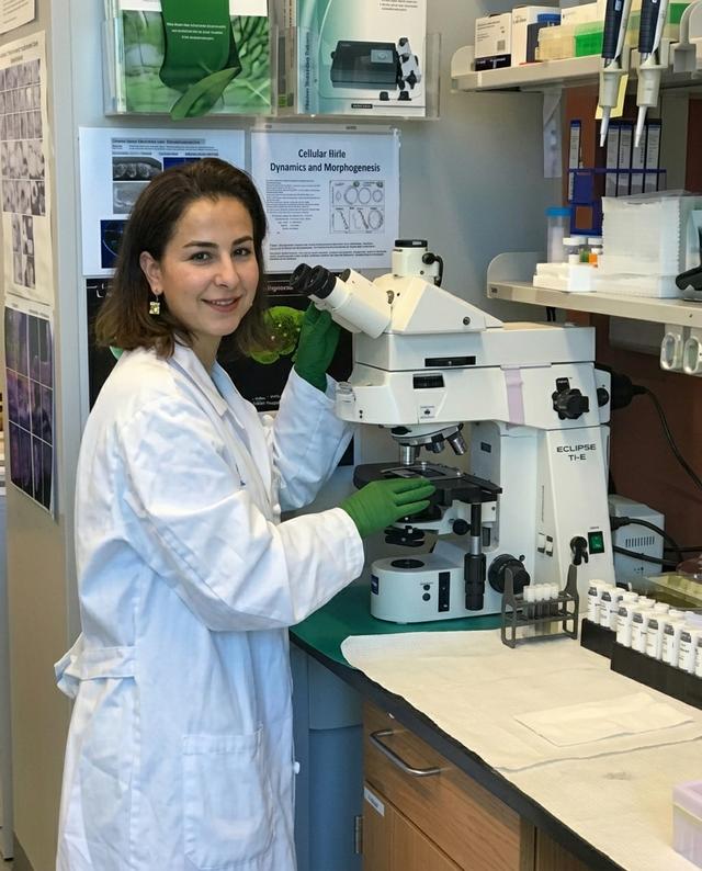 Dr. Zehra Dincer