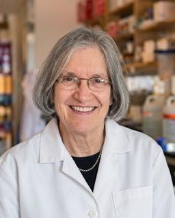 Dyann F. Wirth