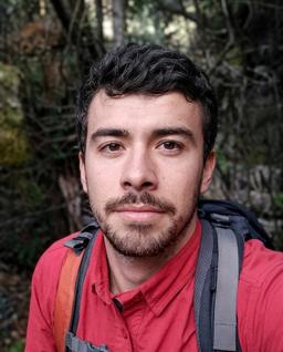 Fernando Bezares