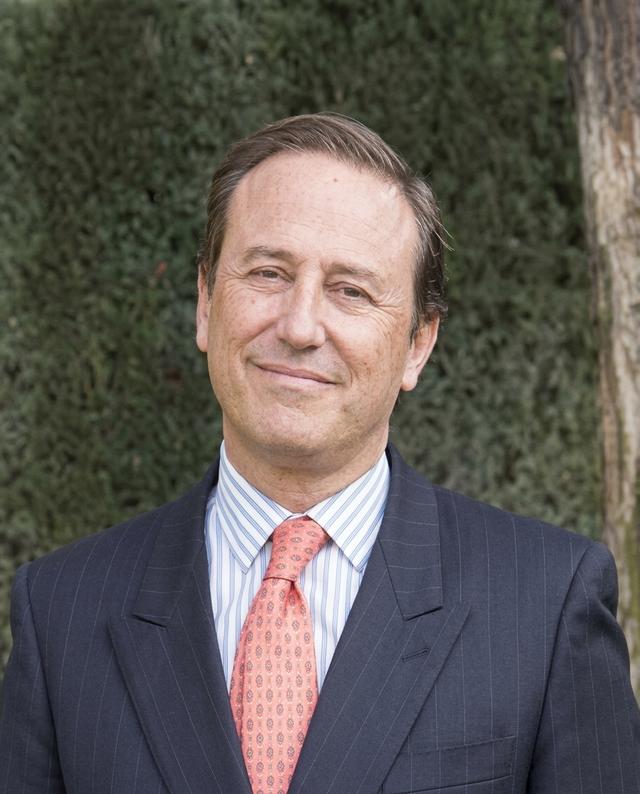 Guido Stein