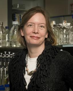 Ingeborg Bajema