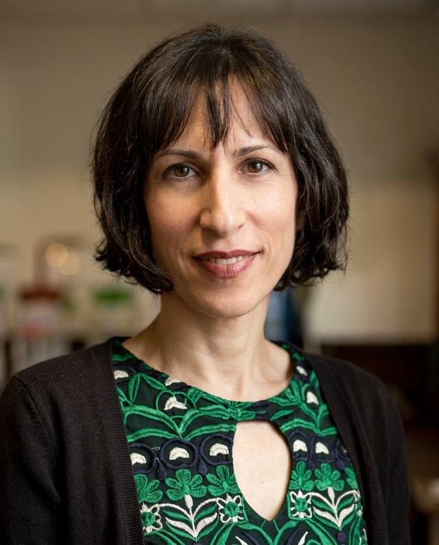 Ivana N. Hughes