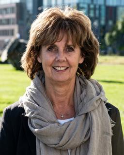 Ivonne M.C.M. Rietjens