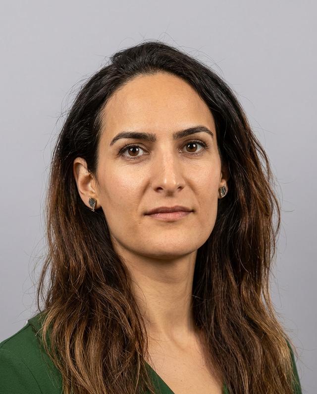 Nasim Ferdosian