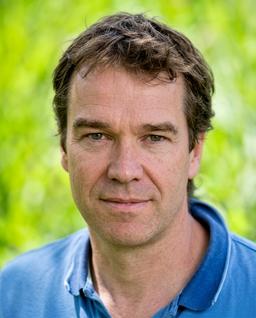Nico Tillie