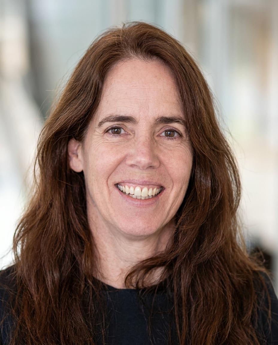 Paulien Harmsen MSc