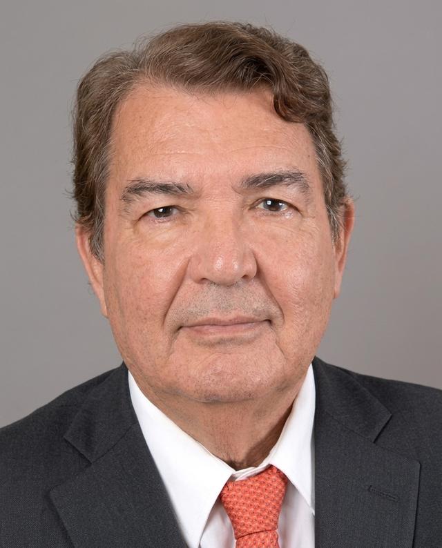 Pedro Hidalgo