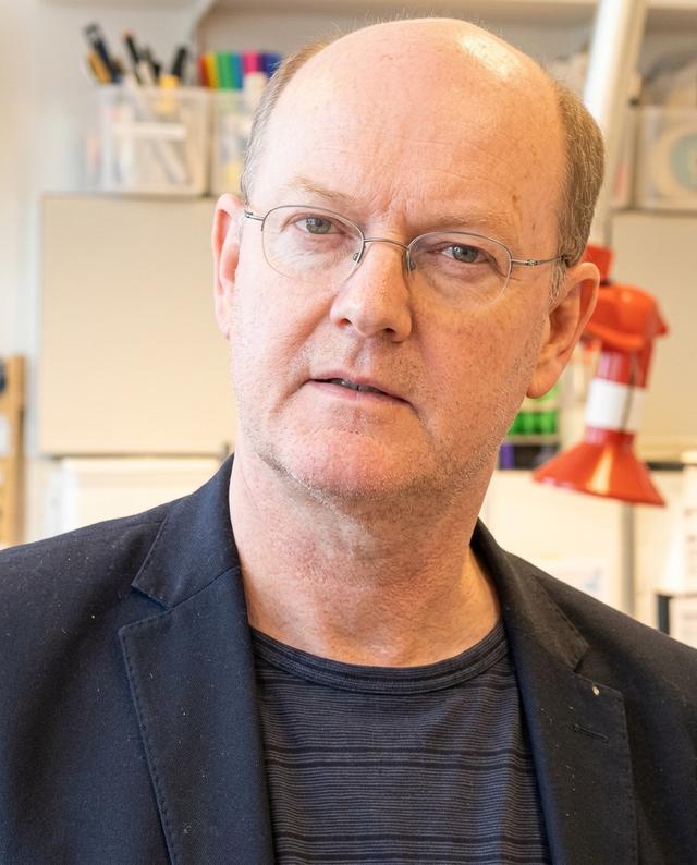 Prof. dr. Bart Koelmans