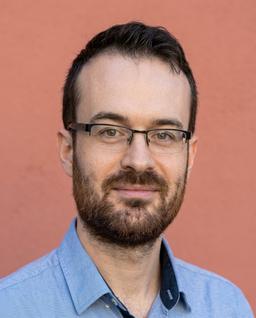 Professor Rafael Ballester-Ripoll