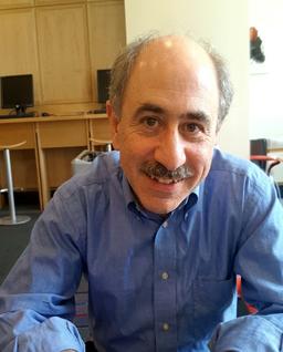 Ramin Mojtabai