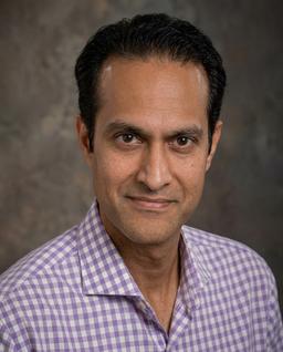 Saleem Ali