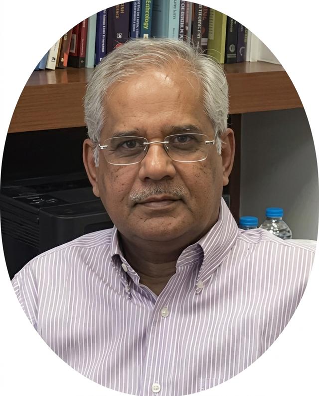 Sameen Siddiqi