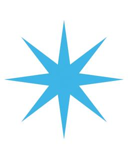 Snowflake Northstar