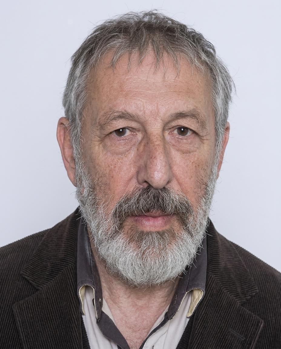 Y. Tzvi Langermann