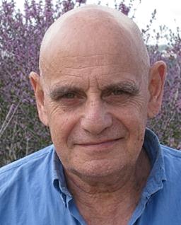 Yair Zakovitch